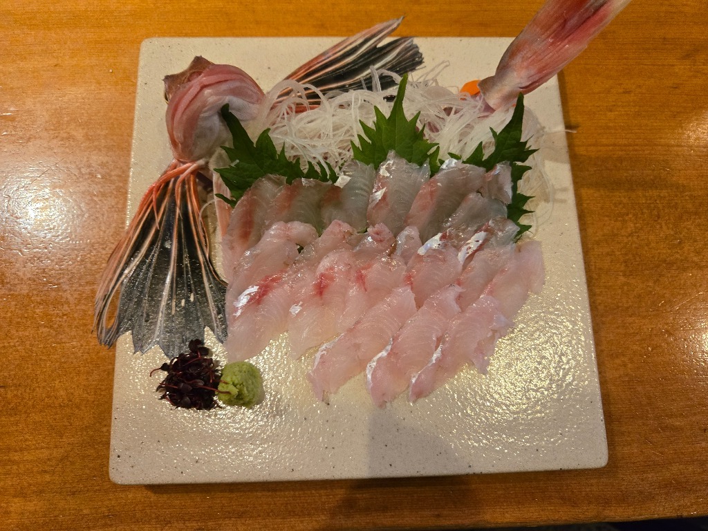 本日の１品ホウボウです。