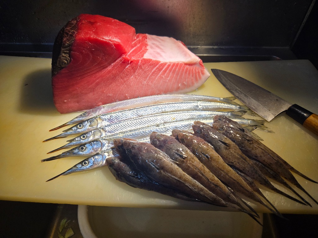 本日入荷の魚たちです。