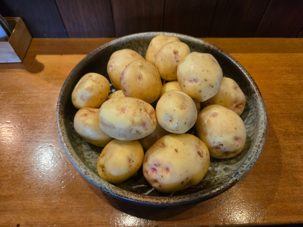 時家裁のジャガイモキタアカリです。