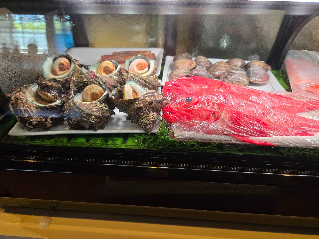 本日入荷の魚たちです。