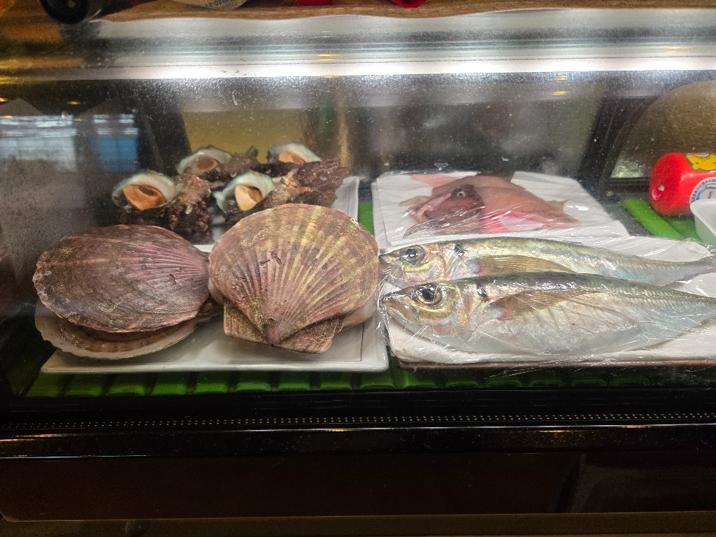 本日入荷の魚たちです。