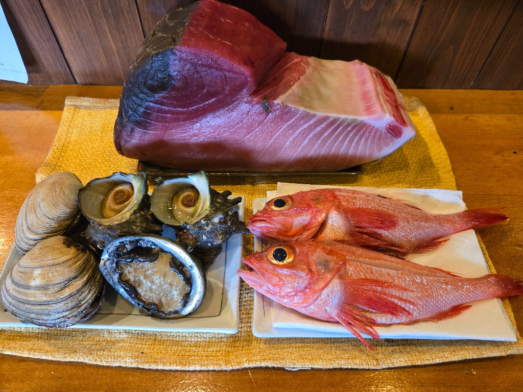 本日入荷の魚たちです。