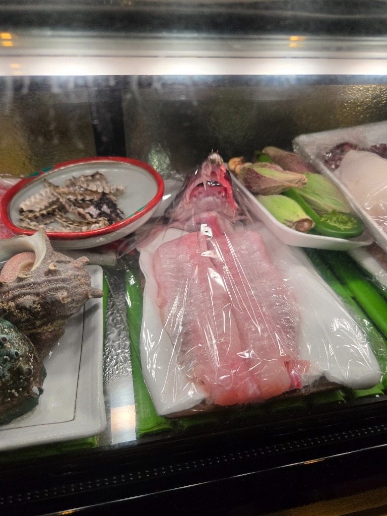 本日入荷の魚です。