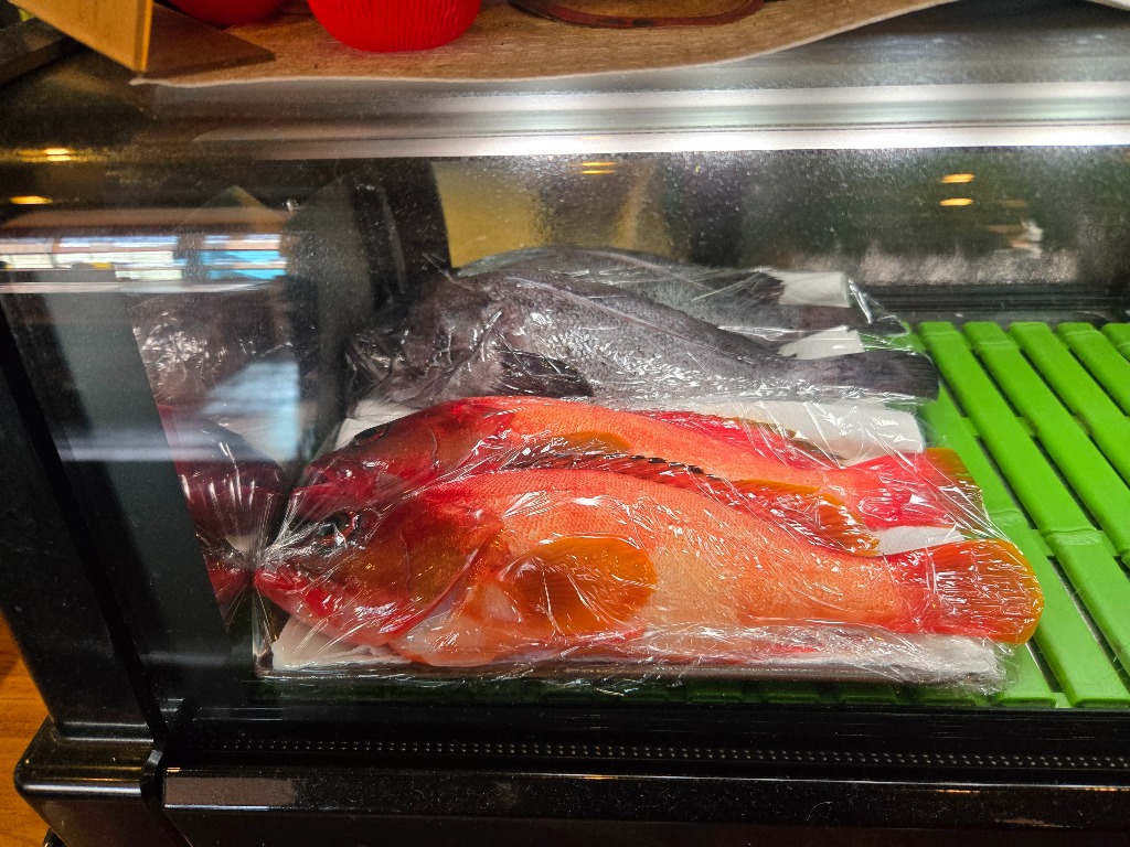 本日入荷の魚たちです。