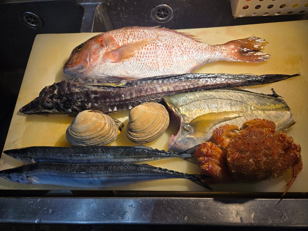 本日入荷の魚たちです。